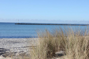 Fehmarn-OstseeferienFewoKrabbe 1551